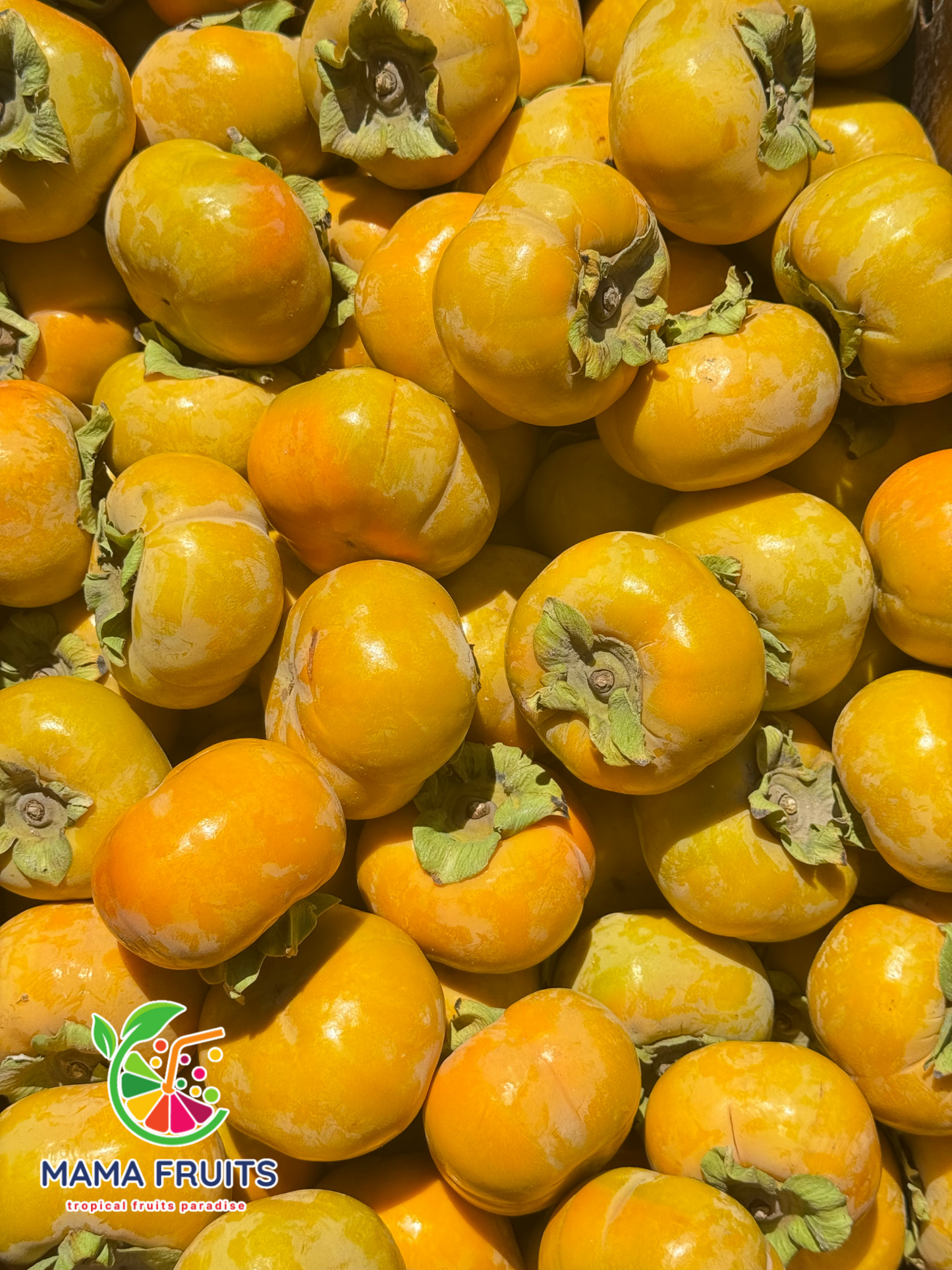 Hồng Giòn (Persimmon) Price Include Shipping