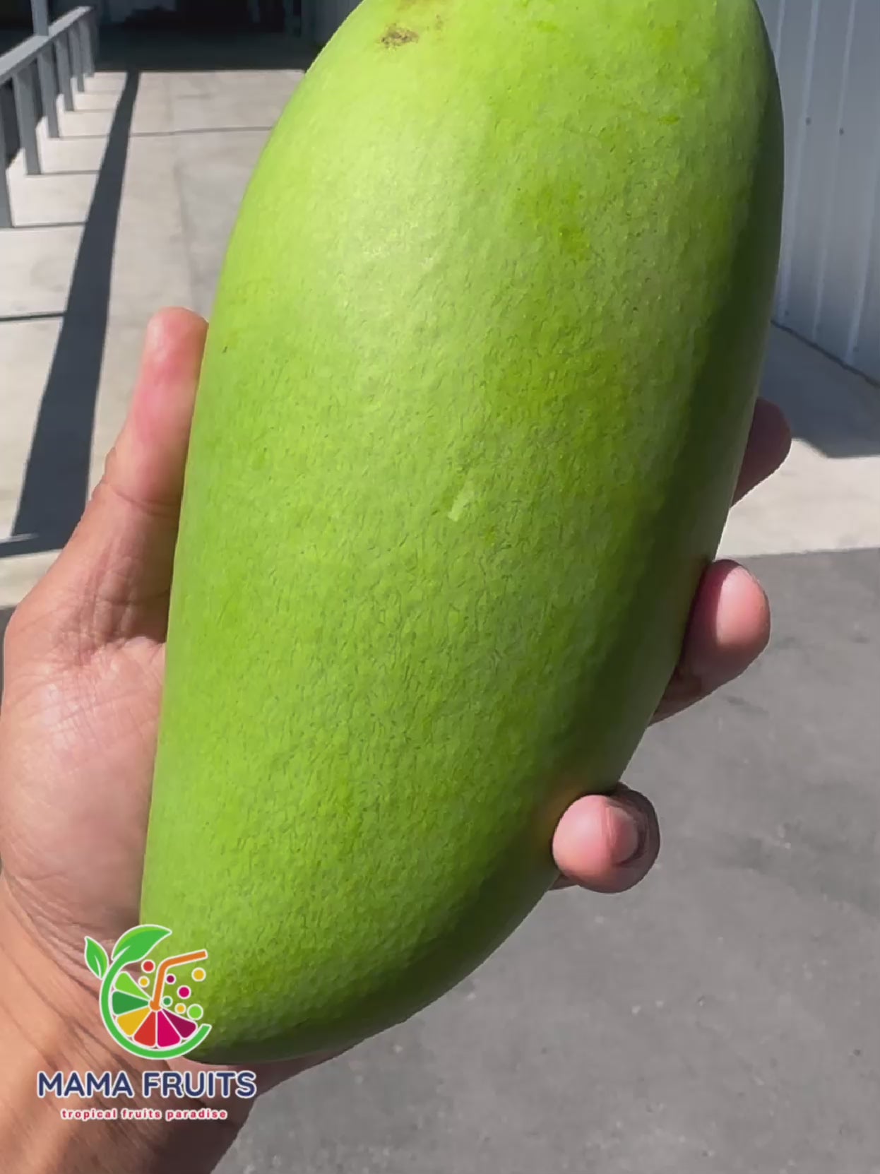 Xoài Thái (Thailand Mango) Price Include Shipping