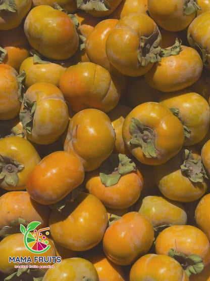 Hồng Giòn (Persimmon) Price Include Shipping